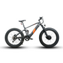 Eunorau Defender-S Full Suspension Dual Moter Mountain E-bike