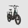 RadRunner™ Max Electric Cargo Utility Bike