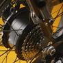 RadRunner™ Max Electric Cargo Utility Bike