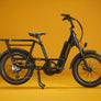 RadRunner™ Max Electric Cargo Utility Bike