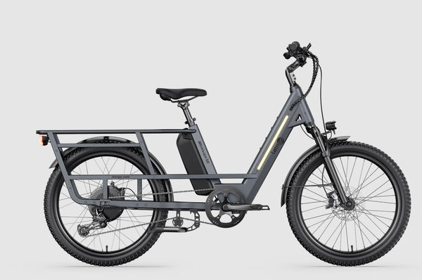 Letrigo Minivan SE - Gray