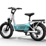 Himiway C3 Cargo Ebike