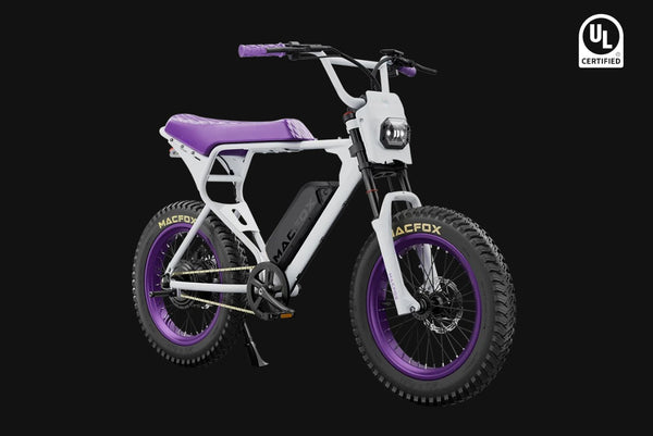 Macfox E-bike X1S x Bs.zay – Electric Bike Center