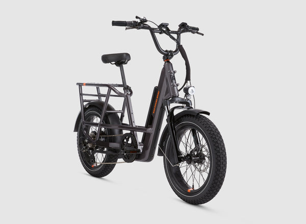 RadRunner 3 Plus Electric Utility Bike Electric Bike Factory LLC