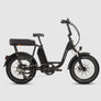 RadRunner™ Plus Electric Cargo Utility Bike