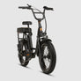RadRunner™ Plus Electric Cargo Utility Bike