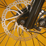 RadRunner™ Plus Electric Cargo Utility Bike
