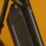 RadRunner™ Plus Electric Cargo Utility Bike