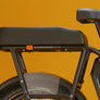 RadRunner™ Plus Electric Cargo Utility Bike
