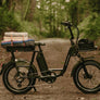 RadRunner™ Plus Electric Cargo Utility Bike