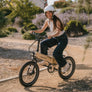 Lectric XP Lite2 Long-Range eBike