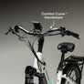 Lectric XPress 2 Cruiser eBike