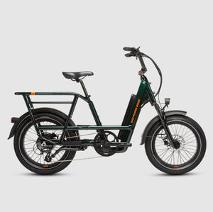 RadRunner™ Max Electric Cargo Utility Bike