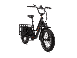 RadWagon 5 Electric Cargo Bike