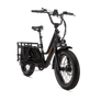 RadWagon 5 Electric Cargo Bike