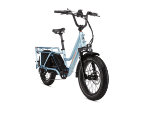 RadWagon 5 Electric Cargo Bike