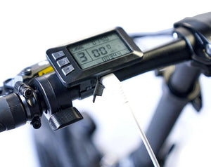 BELUGA STD/PLUS Folding Bike