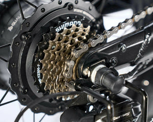 BELUGA STD/PLUS Folding Bike
