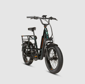 RadRunner™ Max Electric Cargo Utility Bike