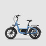 Segway MUXI Pro Cargo Electric Bike