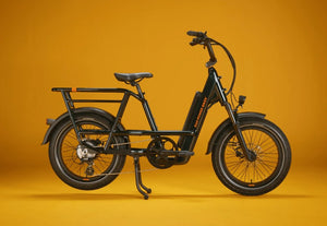 RadRunner™ Max Electric Cargo Utility Bike