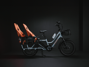 RadWagon 5 Electric Cargo Bike