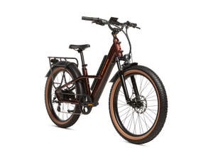 Radster Trail Electric Off-Road Bike