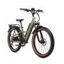 Radster Trail Electric Off-Road Bike