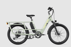 Letrigo Cargo Bike Minivan SE