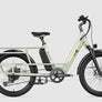 Letrigo Cargo Bike Minivan SE