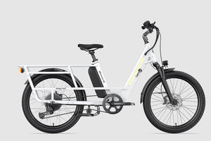 Letrigo Cargo Bike Minivan SE