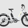 Letrigo Cargo Bike Minivan SE
