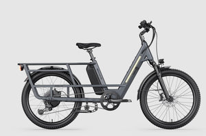 Letrigo Cargo Bike Minivan SE