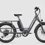 Letrigo Cargo Bike Minivan SE