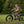 Velotric Nomad 2X Full Suspension Fat Tire Ebike Step Through