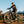 Velotric Nomad 2X Full Suspension Fat Tire Ebike High Step
