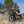Velotric Nomad 2X Full Suspension Fat Tire Ebike High Step