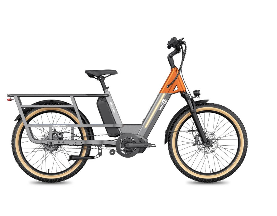 Lectrigo Cargo Bike Minivan