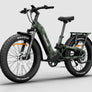 Himiway D5 2.0 Camo eBike