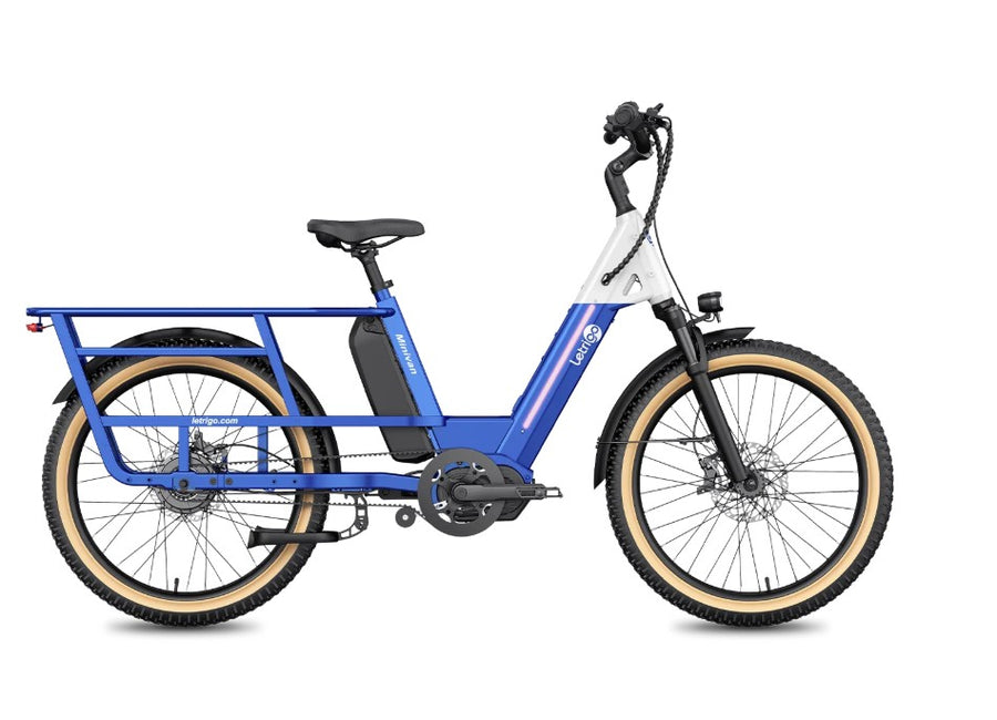 Lectrigo Cargo Bike Minivan