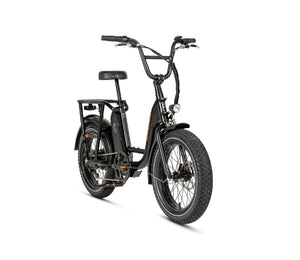 RadRunner 2 Electric Utility Bike