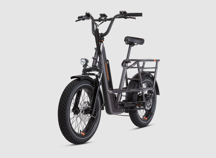 RadRunner 3 Plus Electric Utility Bike