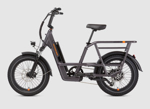 RadRunner 3 Plus Electric Utility Bike