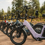 Lectric XP Trike2 750W Ebike