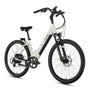 Lectric XPress 2 Cruiser eBike