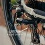 Lectric XPress 2 Cruiser eBike